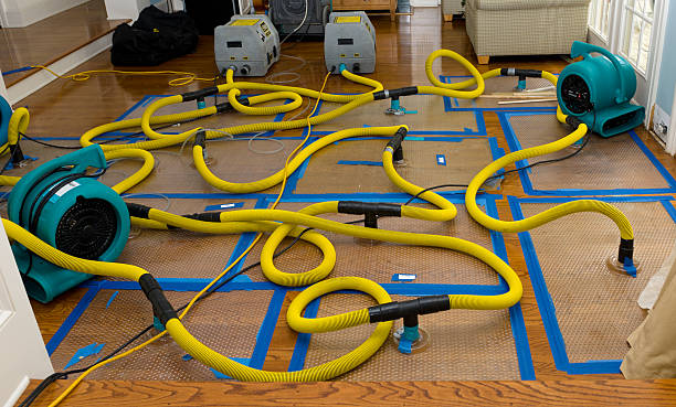 Professional Water Extraction technician working in Ely, IA